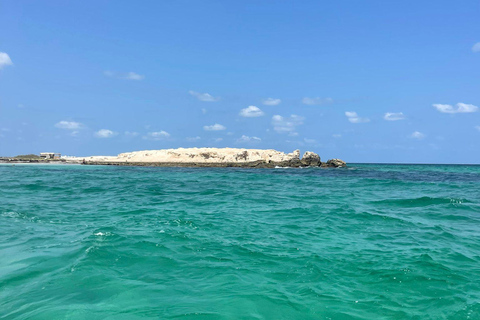 Djerba: 1,5-stündige Fahrt mit dem Jetski über die kristallklaren Gewässer