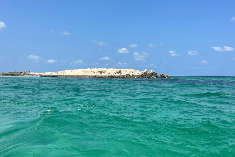 Djerba: 1,5-stündige Fahrt mit dem Jetski über die kristallklaren Gewässer