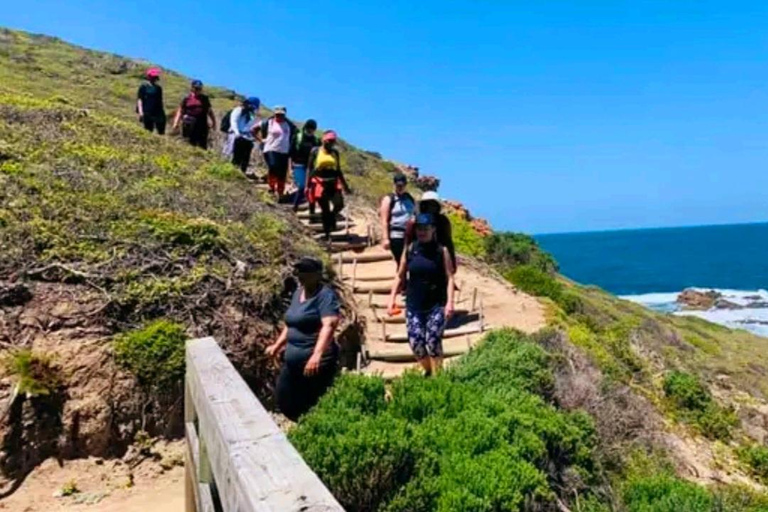 Senderismo Costero Sendero Sacramento: Puerto Elizabeth