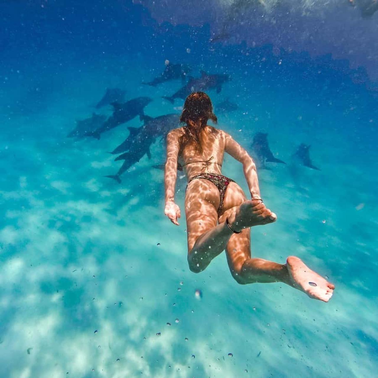 Sansibar: Schwimmen mit Delfinen und Schnorcheln am Mnemba-Atoll