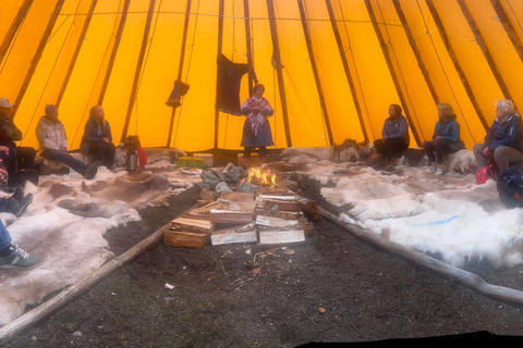 Guided Tour - Meet Reindeer in Hammerfest