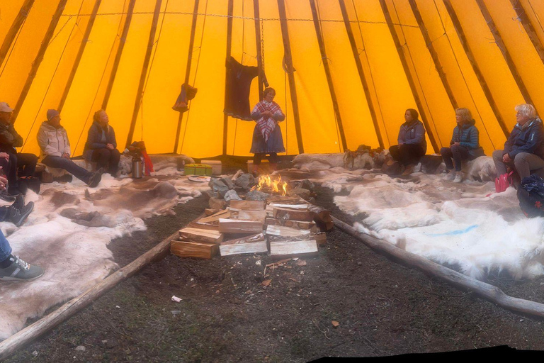 Guided Tour - Meet Reindeer in Hammerfest