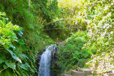 Grenada River tubing and waterfall excursion