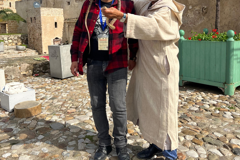 Explore Tangier: Guided City Tour and Seaside Camel Ride Pick up from the cruise terminal