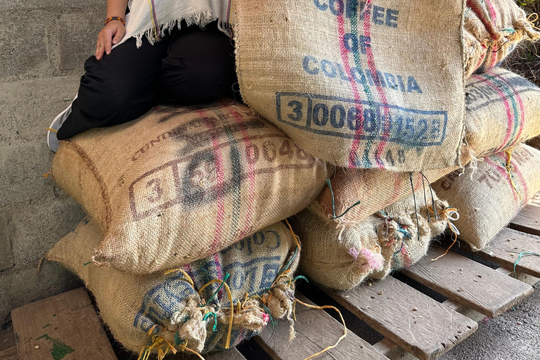 Medellín: 2-Day Jardín and Tapartó Tour with Accommodation