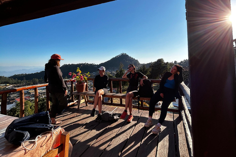 Oaxaca: Hiking in the Mushroom Forest of Cuajimoloyas