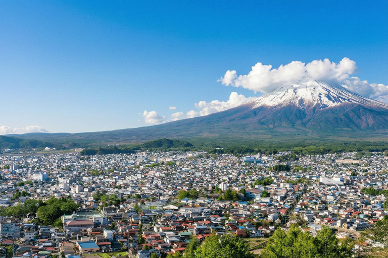 Mt. Fuji & Hakone Tour: Arakurayama, OshinoHakkai, Owakudani Tokyo Station | 7:30 AM Departure with English Guide