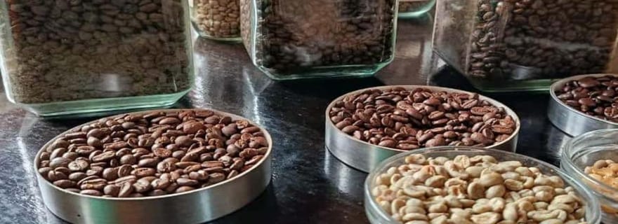 Pemba : visite d'une plantation de café avec dégustation et collations