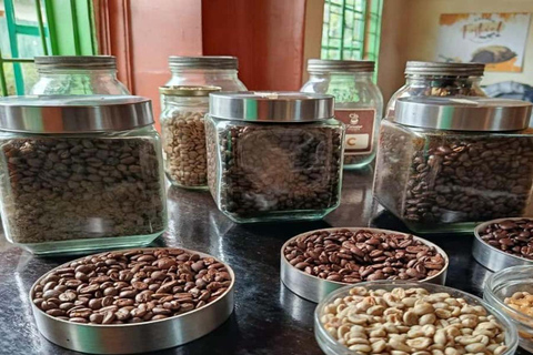 Zanzibar: Stone Town Guided Bike Tour with Coffee & Spices