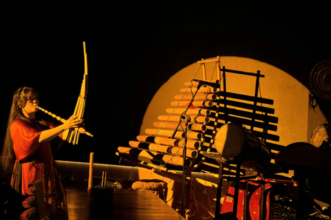 Ciudad Ho Chi Minh: Chào Show: música cultural refinada y cena