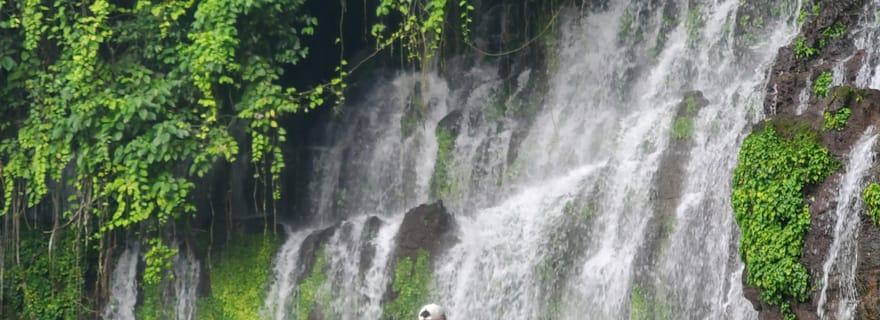 Depuis San Salvador : randonnée aux cascades de Juayua et piscine naturelle