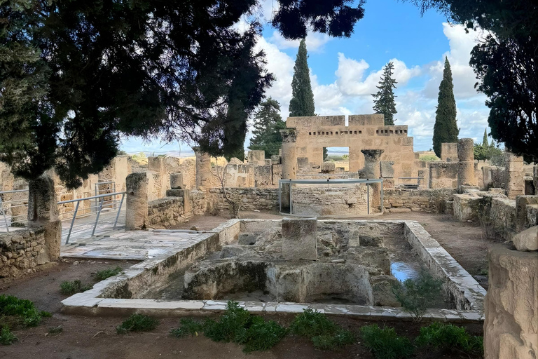 Tunis: Utica, Bizerte, and Cape Angela Private Day Trip
