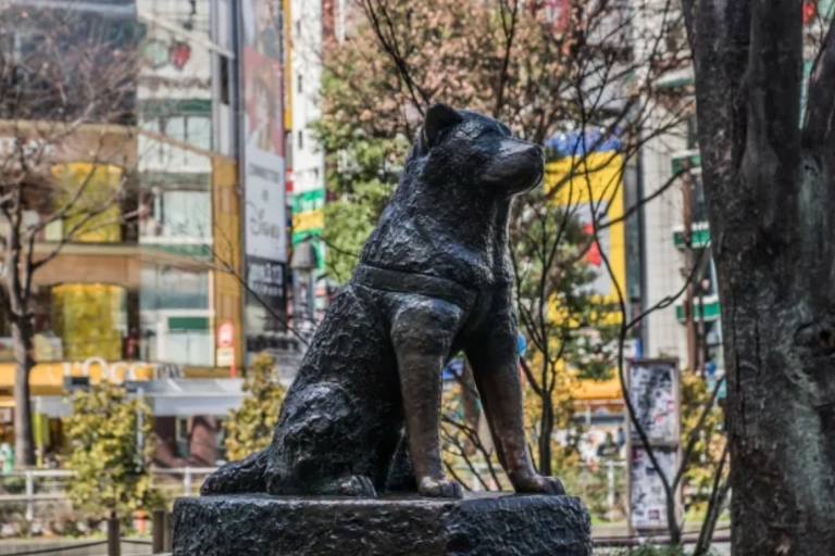 Visite personnalisée de la ville de Tokyo avec guide anglophone