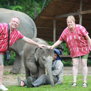 Chiang Mai: Elephant Sanctuary, Waterfall & Bamboo Rafting Chiang Mai: Elephant Sanctuary, Waterfall & Bamboo Rafting