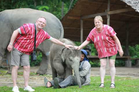 Chiang Mai: Elephant Sanctuary, Waterfall & Bamboo Rafting - Image 3