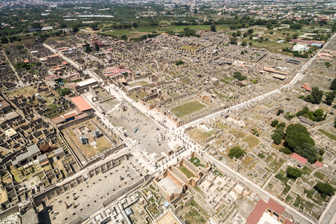 From Naples: Archeological day to Pompeii and Herculaneum