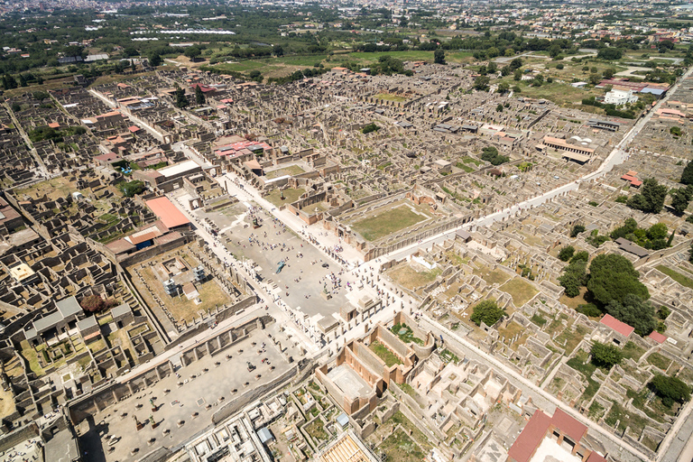 Da Napoli: tour di un giorno intero a Pompei, Ercolano e Vesuvio