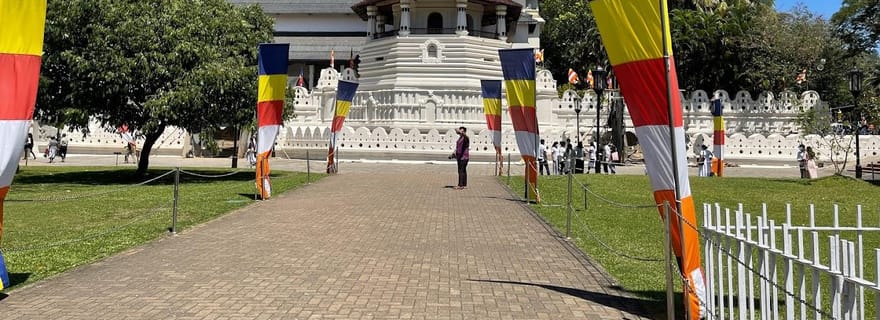 Kandy, Pinnawala & Tea Factory visite d'une jounée depuis Colombo