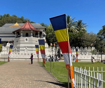 Kandy & Pinnawala & Theefabriek Hele dagtour vanuit Negombo