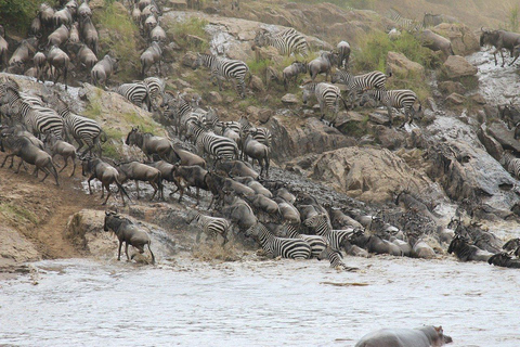 From Zanzibar: 4 Days Serengeti and Ngorongoro Crater Safari