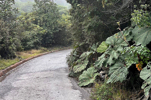 From San José: Poás Volcano, La Paz Waterfalls & Doka Tour