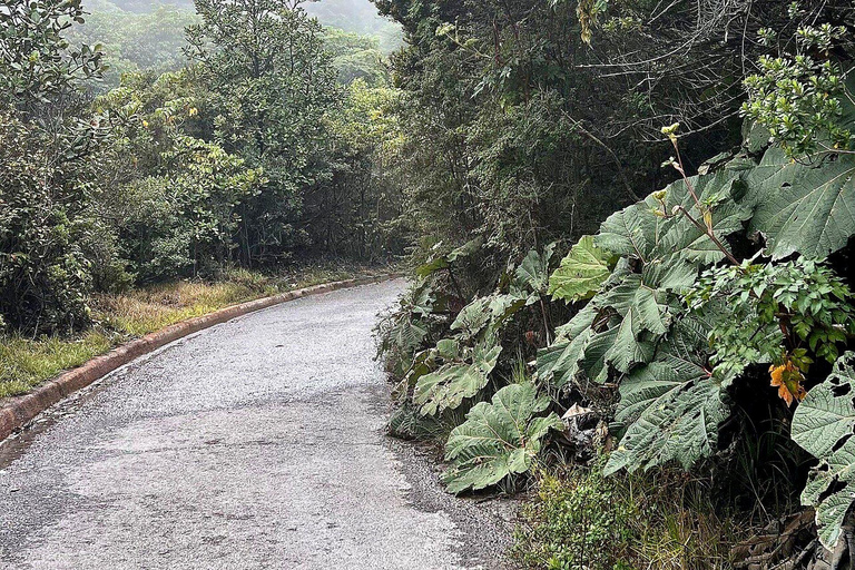 From San José: Poás Volcano, La Paz Waterfalls & Doka Tour