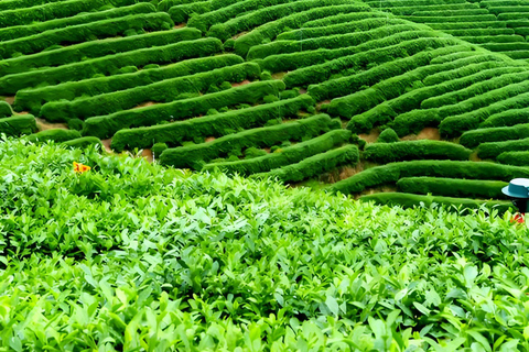 Shanghai: 8-Day Guided Tour with Accommodation