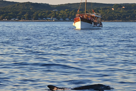 Rovinj: Red Island & Lim Fjord boat tour with BBQ & Swimming