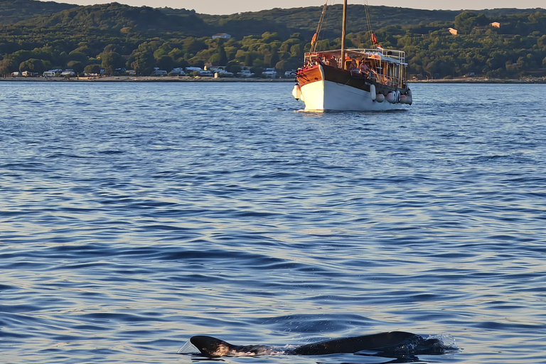 Rovinj: Red Island & Lim Fjord boat tour with BBQ & Swimming