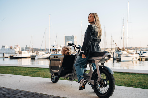 Eindhoven: Cargo Bike Rental with Routes