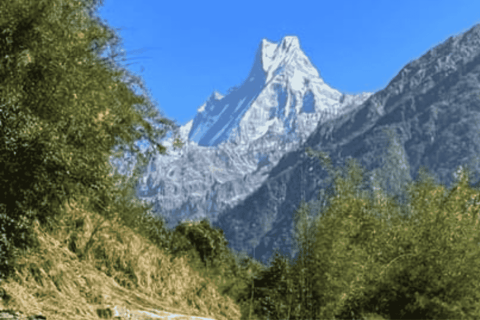From Kathmandu: 7 Day Annapurna Base Camp Trek