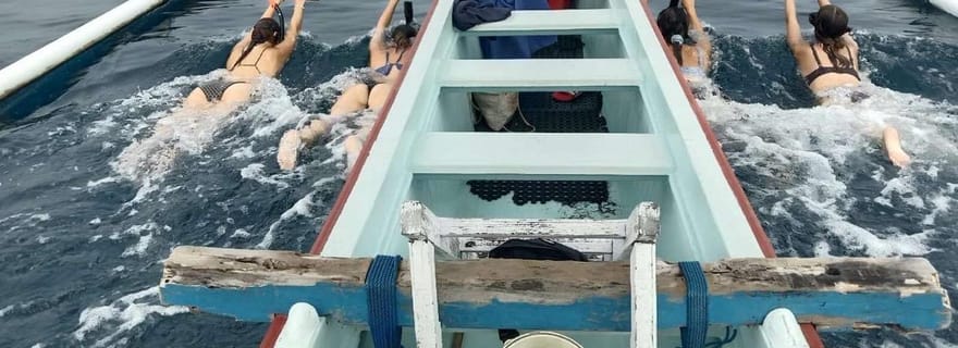 Bali : Observation des dauphins et plongée en apnée à Lovina