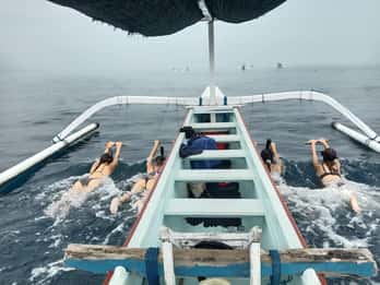 Bali - Utflykt Snorkling och delfinskådning i Lovina