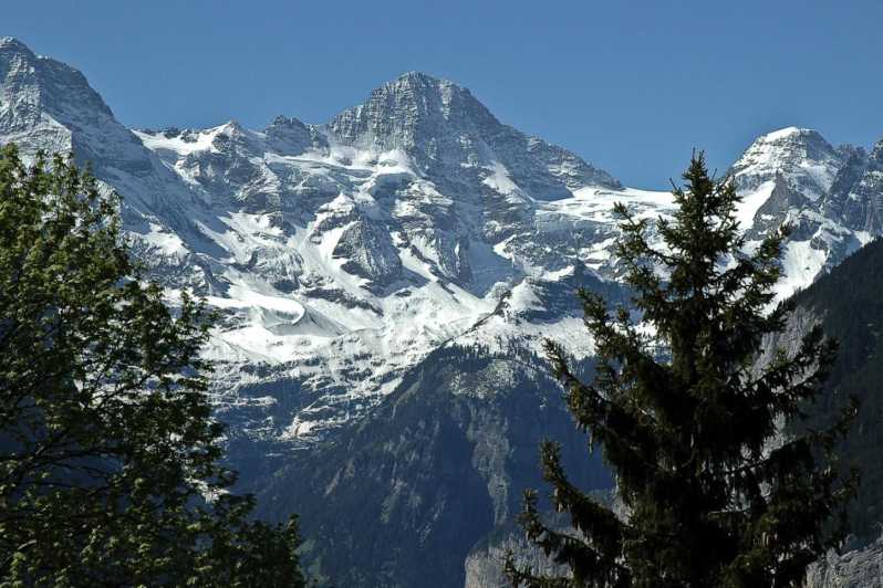 Da Zurigo: Tour guidato del Jungfraujoch con treno a cremagliera