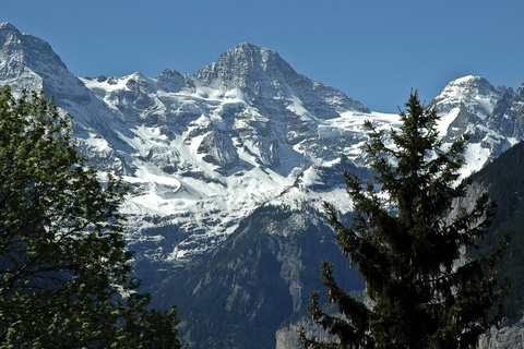 Von Zürich aus: Geführte Jungfraujoch-Tagestour mit der Zahnradbahn