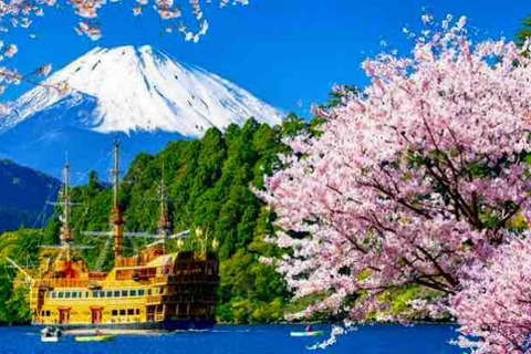 From Tokyo: Mount Fuji Private Customized Day Tour by Van Mt. Fuji & Hakone Full Day Private Customized Tour