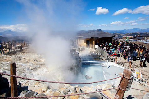 Tokyo: Mt. Fuji Lake Ashi&Ropeway,Owakudani Valley Day Tour Tokyo Station Pickup at 8:00 AM