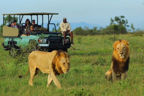 2 Days Akagera National Park Safari with Hot Air Balloon
