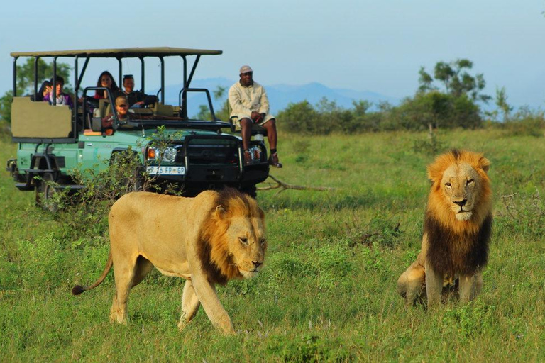 2 Days Akagera National Park Safari with Hot Air Balloon