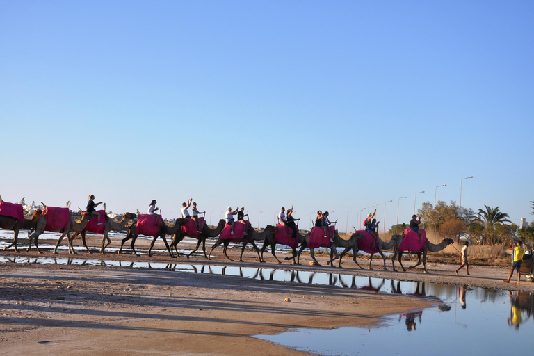 Djerba: Camel Ride to the Blue Lagoon at Sunset