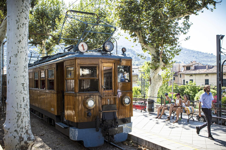 Palma: Inselrundfahrt auf Mallorca mit Boot, Zug und BusPalma: Mallorca Island Tour per Boot, Zug und Bus