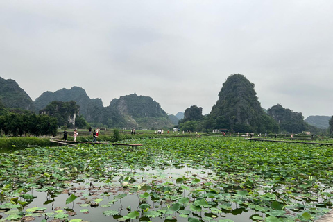 Depuis Hanoi : Ninh Binh - Trang An - Grottes de Mua - Déjeuner et busAu départ de Hanoi : Découvrez la beauté de Ninh Binh - Excursion d&#039;une journée