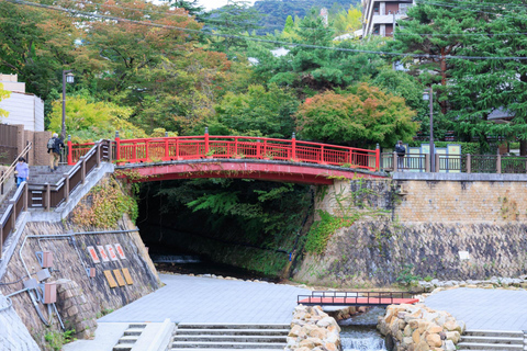 Osaka: Castillo de Himeji, Arima Onsen y Monte Rokko Tour en autobús de 1 día