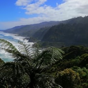 From Greymouth: Highlights West Coast Day Tour From Greymouth: Highlights West Coast Day Tour