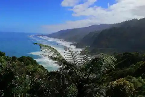 Da Greymouth: Tour di un giorno sulla costa occidentale