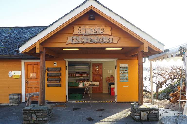 Tour guidato al fiordo di Hardanger, alle cascate e all&#039;attraversamento in traghetto