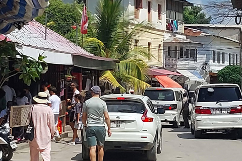 Stone Town Historical Walking Tour & Freddie Mercury Visit Stone Town Walking Tour with Local Guide