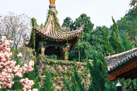 Shaanxi: Huaqing Pool entrance ticket