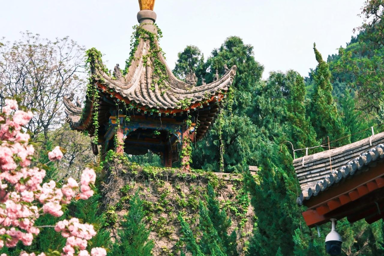 Shaanxi: Huaqing Pool entrance ticket