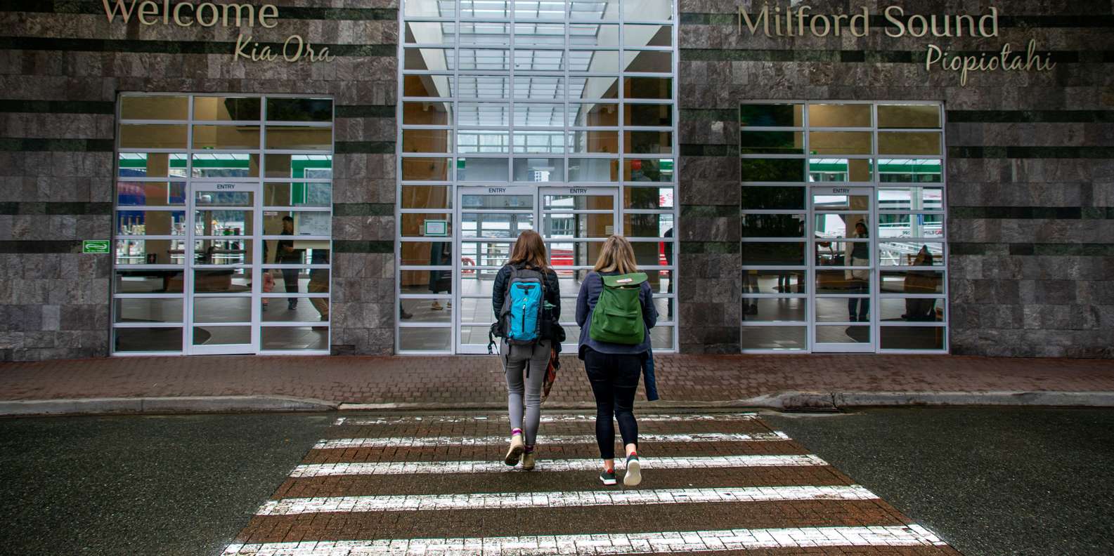 Fiordland rainforest reflected in the still waters